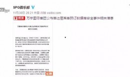 纳维莱特最新爆料消息是真的吗,真相还是炒作？